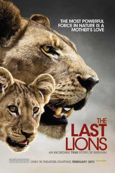 فيلم The Last Lions 2011 مترجم