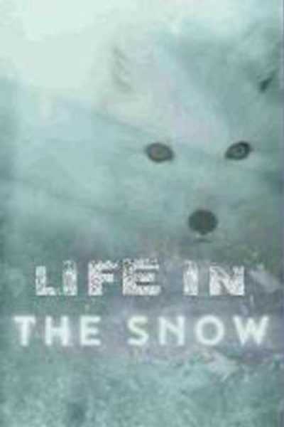 فيلم Life in the Snow 2016 مترجم