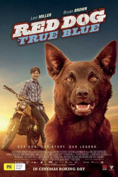 فيلم Red Dog True Blue 2016 مترجم