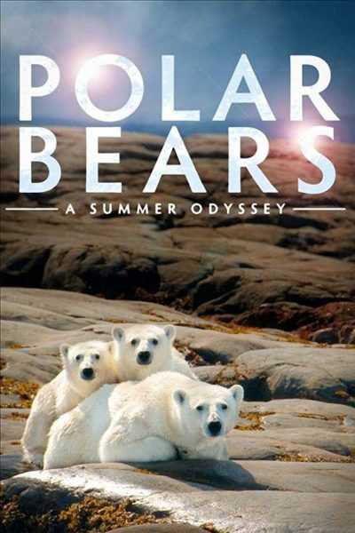 فيلم Polar Bears A Summer Odyssey 2012 مترجم