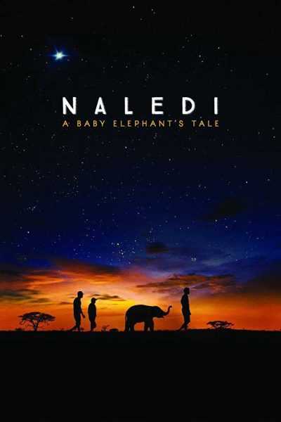 فيلم Naledi A Baby Elephant’s Tale 2016 مترجم