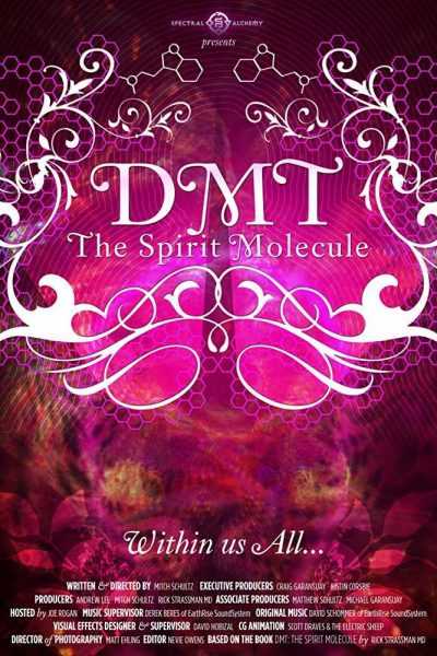 فيلم DMT The Spirit Molecule 2010 مترجم