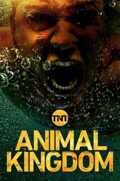 151825مسلسل Animal Kingdom