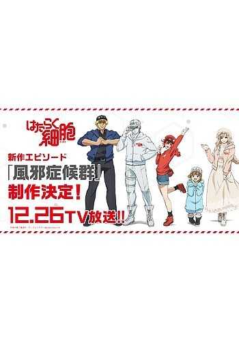 أنمي Hataraku Saibou: Kaze Shoukougun – حلقة خاصة 01