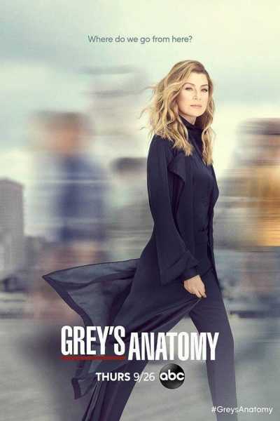 مسلسل Greys Anatomy