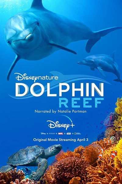 فيلم Dolphin Reef 2020 مترجم