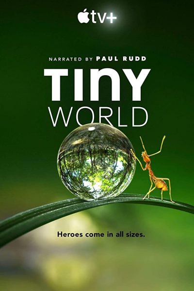 مسلسل Tiny World الموسم الأول