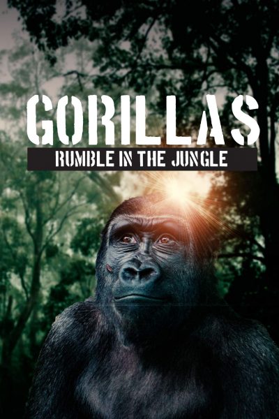 فيلم Gorillas Rumble In The Jungle 2020 مترجم