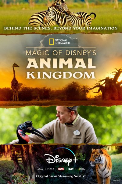 مسلسل Magic of Disney’s Animal Kingdom