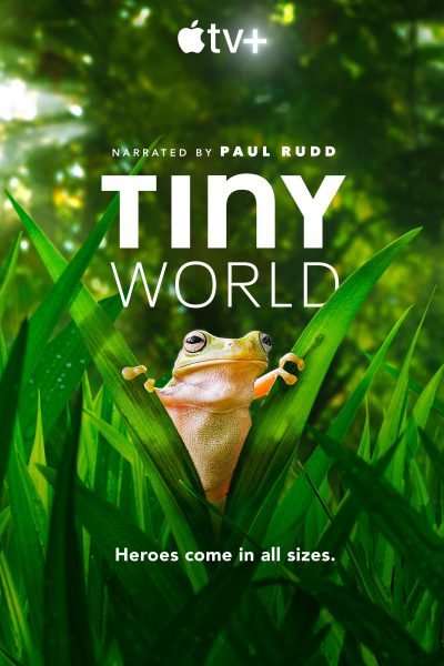مسلسل Tiny World الموسم الثاني