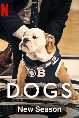 66691مسلسل Dogs