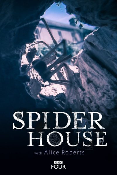 فيلم Spider House 2014 مترجم
