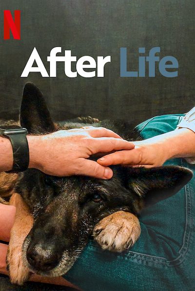 مسلسل After Life الموسم الثالث