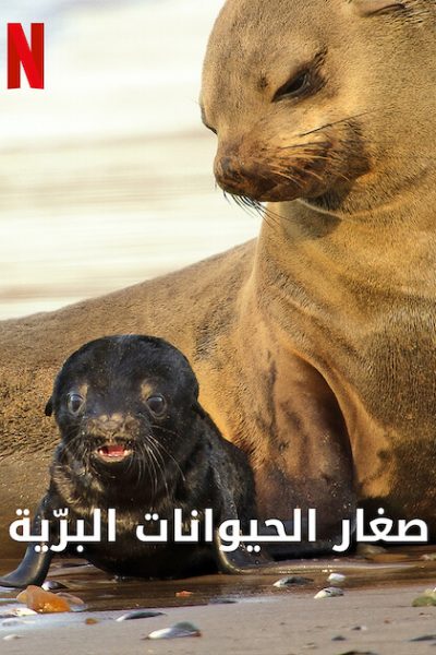 مسلسل Wild Babies