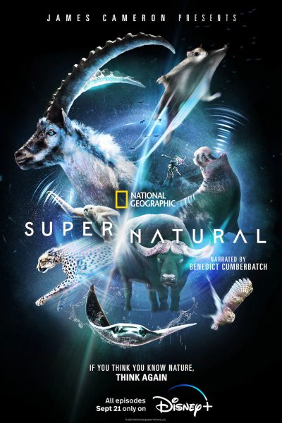 مسلسل Super/Natural الموسم الأول
