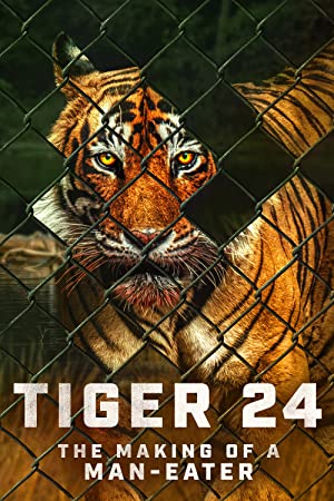 فيلم Tiger 24 2022 مترجم