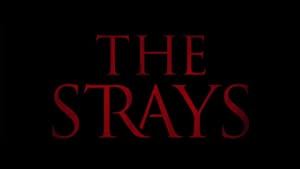 فيلم The Strays 2023 مترجم