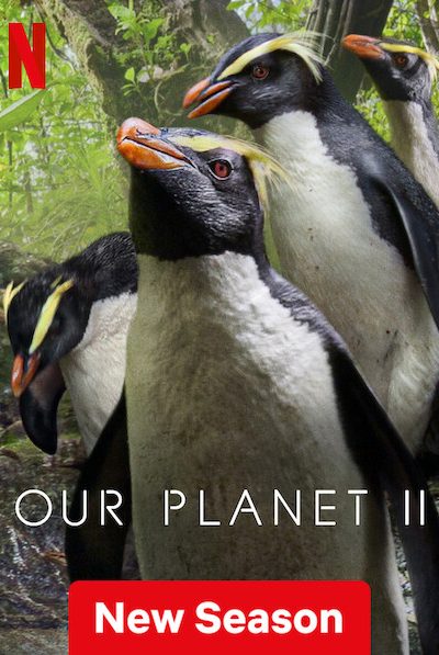 مسلسل Our Planet الموسم الثاني