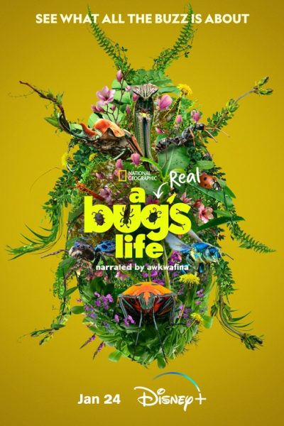 مسلسل A Real Bug’s Life