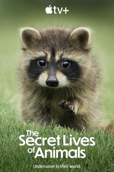 مسلسل The Secret Lives of Animals