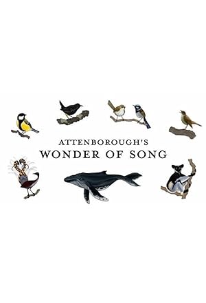 فيلم Attenborough’s Wonder of Song 2022 مترجم