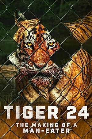 فيلم Tiger 24 2022 مترجم