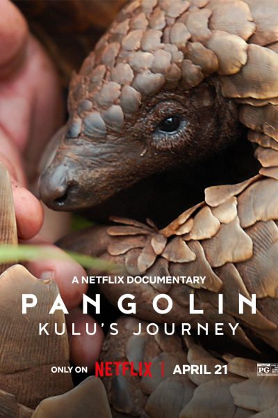 فيلم Pangolin: Kulu’s Journey 2025 مترجم