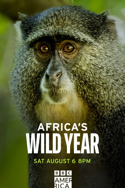 مسلسل Africa’s Wild Year الموسم الأول