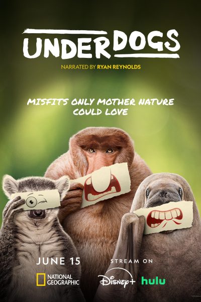 مسلسل Underdogs