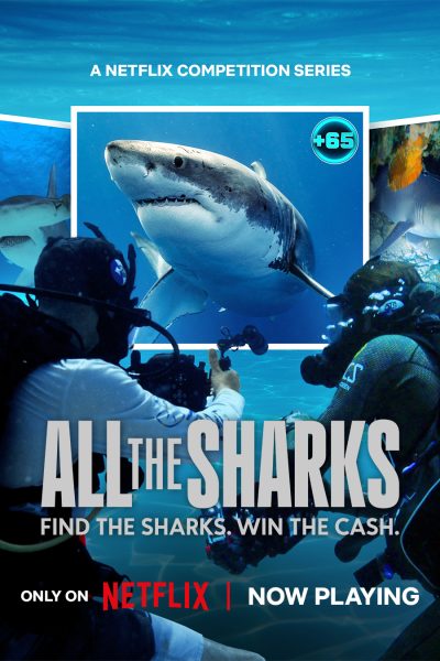 مسلسل All the Sharks