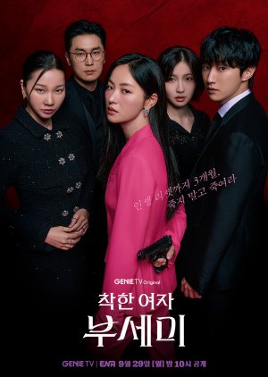 مسلسل Ms. Incognito الموسم الاول