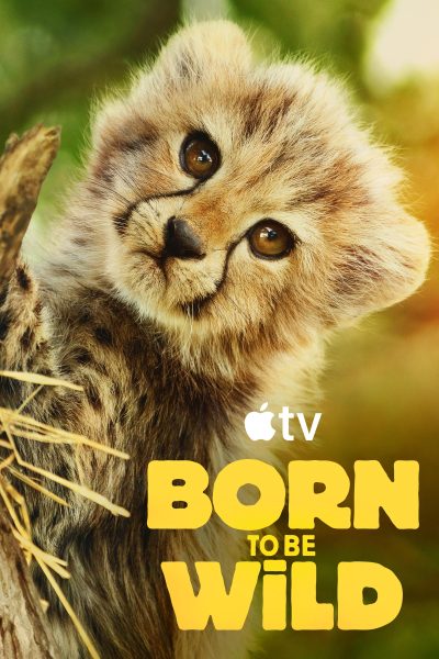 مسلسل Born to be Wild