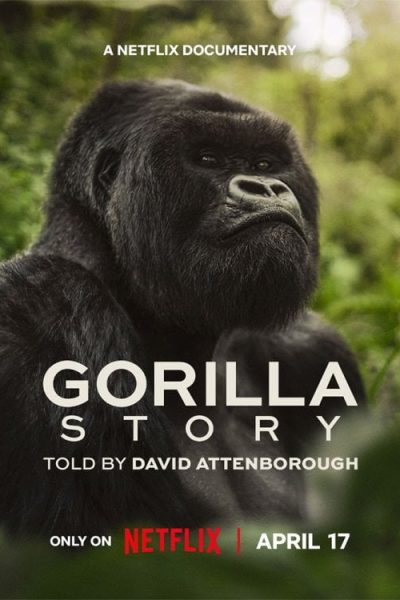 فيلم A Gorilla Story: Told by David Attenborough 2026 مترجم