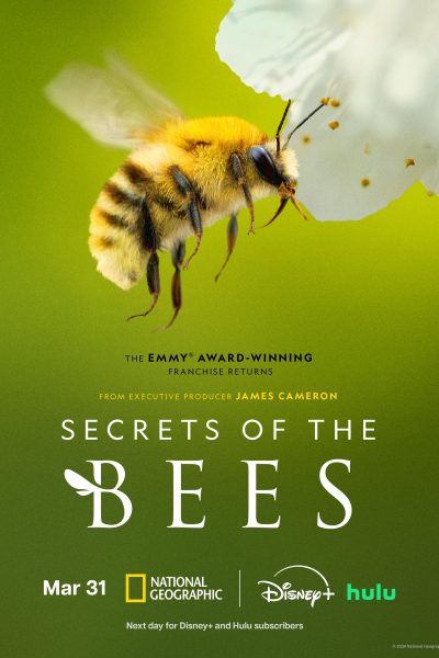 مسلسل Secrets of the Bees الموسم الأول – الحلقة 2