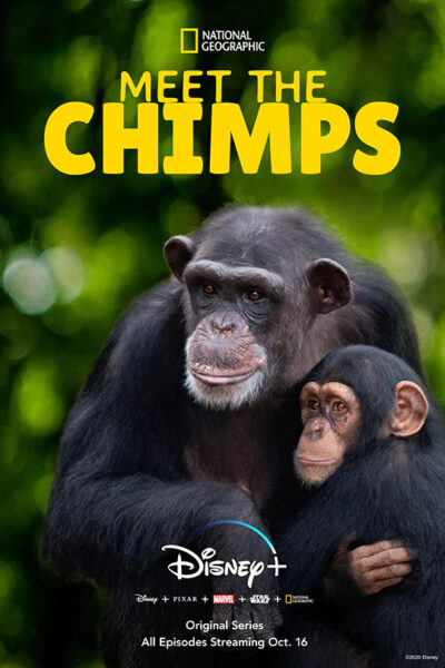 مسلسل Meet the Chimps الموسم الأول