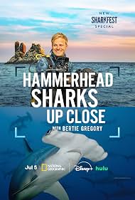 فيلم 2026 Hammerhead Sharks Up Close with Bertie Gregory مترجم