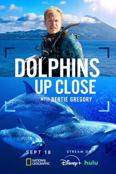 فيلم Dolphins Up Close with Bertie Gregory 2025 مترجم